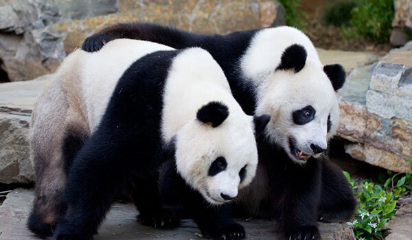 Get Up Close to the Local Wildlife in Adelaide