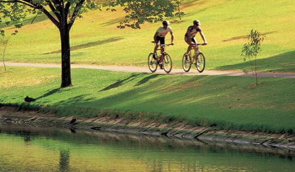 Hop on your Bike and Explore Adelaide